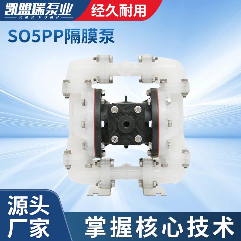 S05PP塑料隔膜泵厂家供应S05B3P2PPD100隔膜泵往复泵塑料自动隔膜