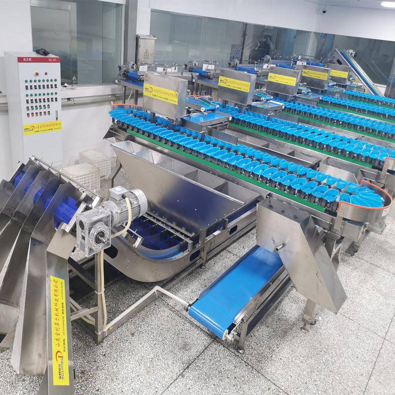 百香果红薯转盘式称重分级选果机鸡胸肉鸡爪全自动重量分选机