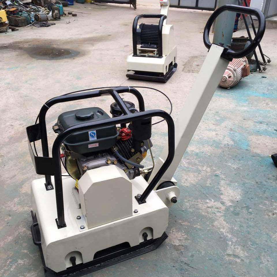 手扶式双向振动压实机建筑地基震动打夯机汽油柴油电动平板振动夯,鲜花速递/花卉仿真/绿植园艺,割草机/草坪机,淘宝优惠券,粉丝福利购,淘宝优惠卷