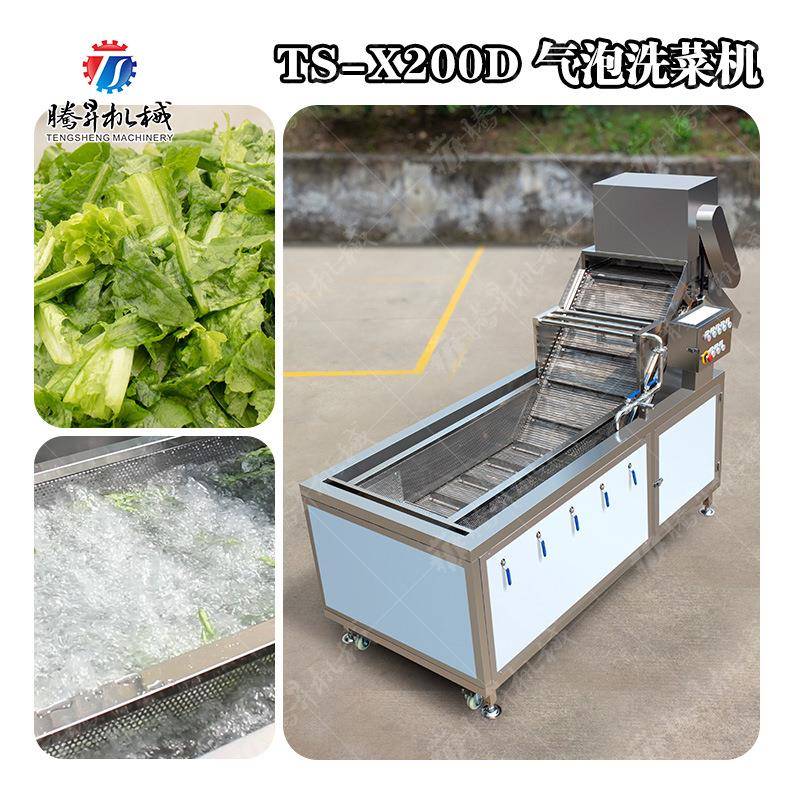 供应番茄清洗机 气泡冲浪喷淋洗菜机 发菜折根菜清洗机 输送带