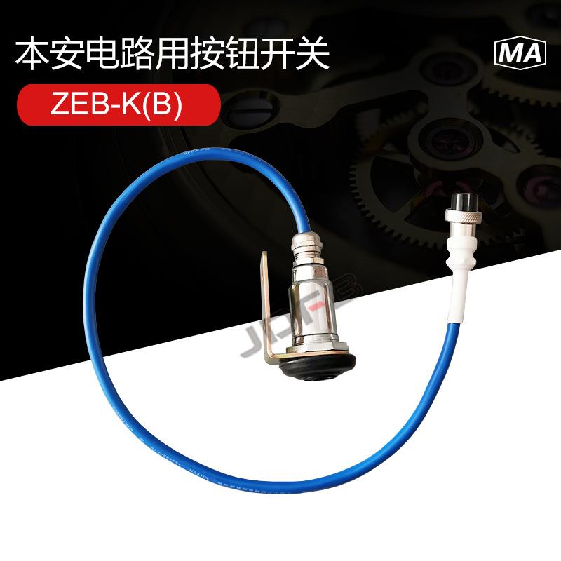 ZEB-K(B)本安电路用按钮开关AH1/24矿用防爆电子喇叭配套按钮开关