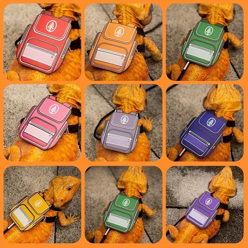 蜥蜴外出绳鬃狮蜥蜴牵引绳爬宠外出用品蓝舌胸背异宠绳睫角守宫,宠物/宠物食品及用品,爬宠清洁及日用品,淘宝优惠券,粉丝福利购,淘宝优惠卷