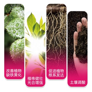 国光施奇黄叶必治氨基酸铁微量元素月季绣球黄叶小叶叶面肥水溶肥