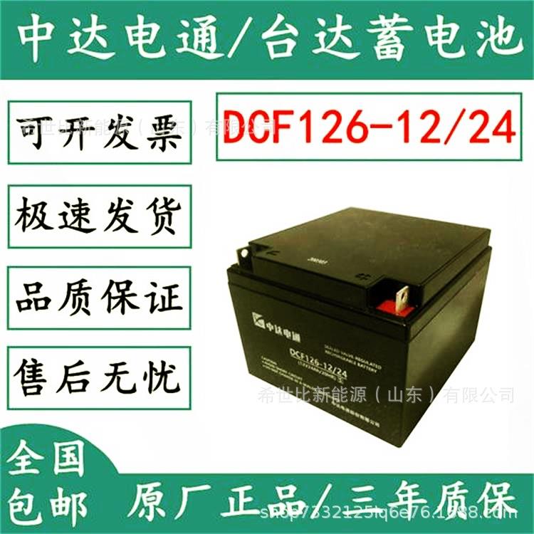 中达电通蓄电池DCF126-12/24核电站/水电站12V24AH电力工程直流系