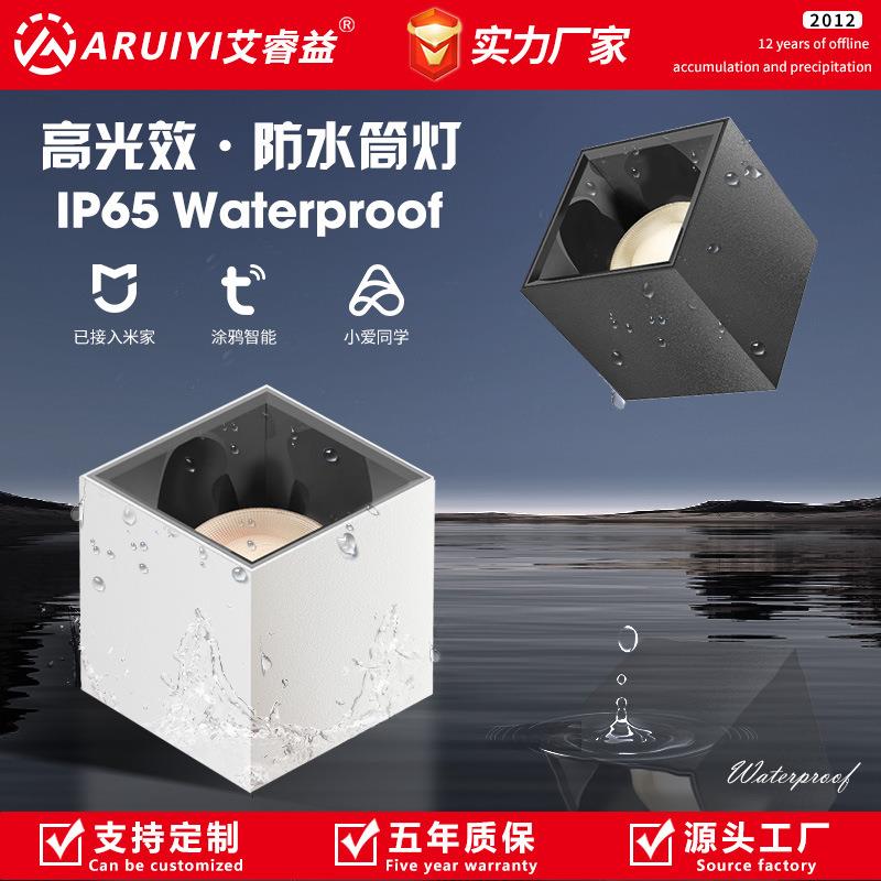 明装防水筒灯 户外阳台厨房家用卫生间天花射灯ip65高光效射灯
