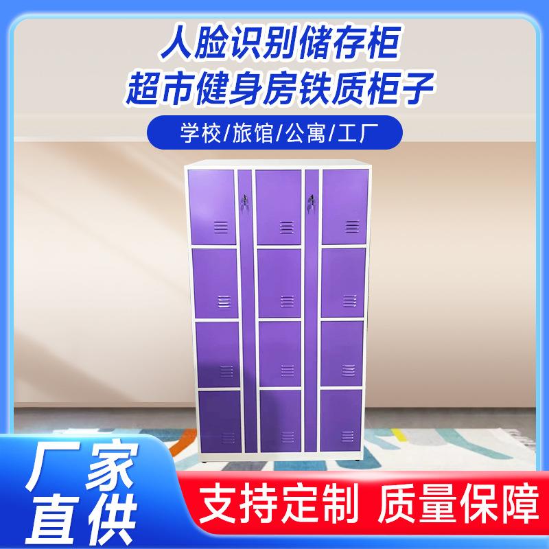 人脸识别储存柜超市健身房铁质柜子 存包柜带锁储物柜商场寄存柜
