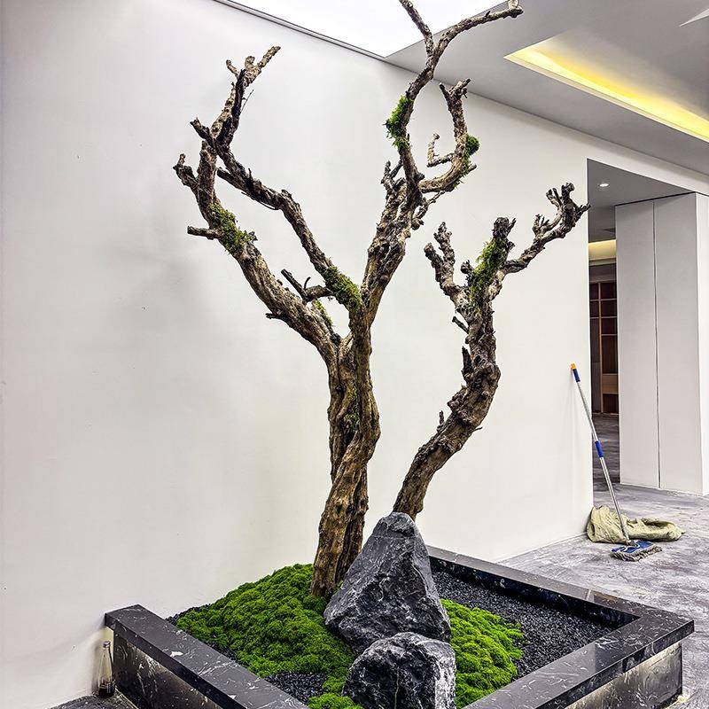 仿真枯树枝天然原木造景植物室内高端绿植装饰树大型假树简约景观