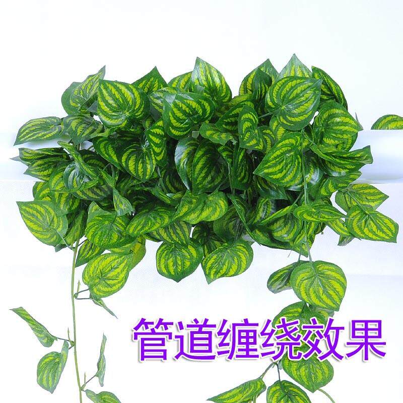 彷真西瓜叶绿色植物塑料水暖气管道树叶子悬吊式天花板装饰假花藤