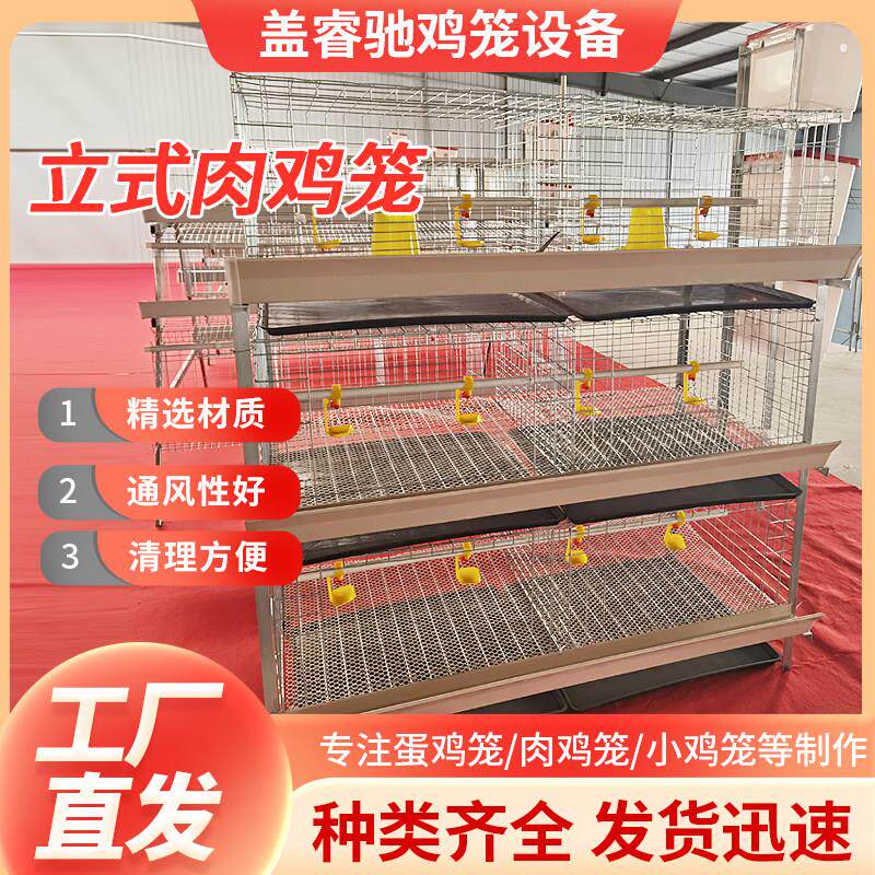 立式肉鸡笼养殖专用笼简易肉鸡笼可自动化养殖设备加粗加密