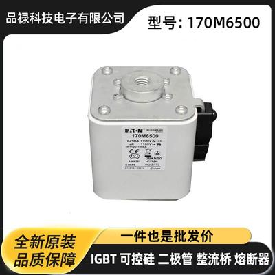 170M6207 170M6258 170M6259高压快速熔断器 熔芯 巴斯曼