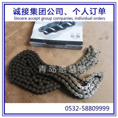 东宝DBC链条80-1 100-2 120-1 160-1直板链条工业直板链条