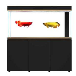 鱼缸客厅大型免换水底过滤超白生态水族箱下过滤家用智能懒人鱼缸