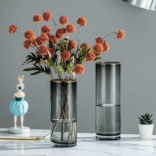 北欧简约描金玻璃花瓶水养富贵竹百合玻璃插透明花瓶客厅餐桌摆件