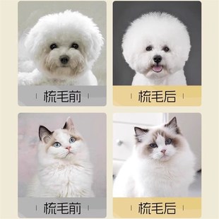 狗狗梳毛专用梳子比熊博美泰迪拉毛开结去浮毛宠物狗狗毛清理神器