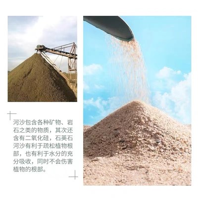 河沙细沙过筛河沙多肉种植种花沙子乌龟冬眠沙鱼缸沙建筑沙100斤