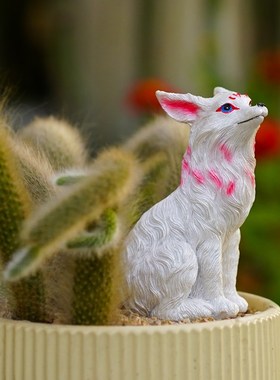 九尾狐多肉植物花盆造景摆件白狐狸猴尾柱微景观花园天门冬装饰品