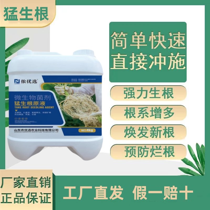 猛生根原液强力生根壮苗剂生根液蔬菜果树花卉大桶冲施微生物菌肥