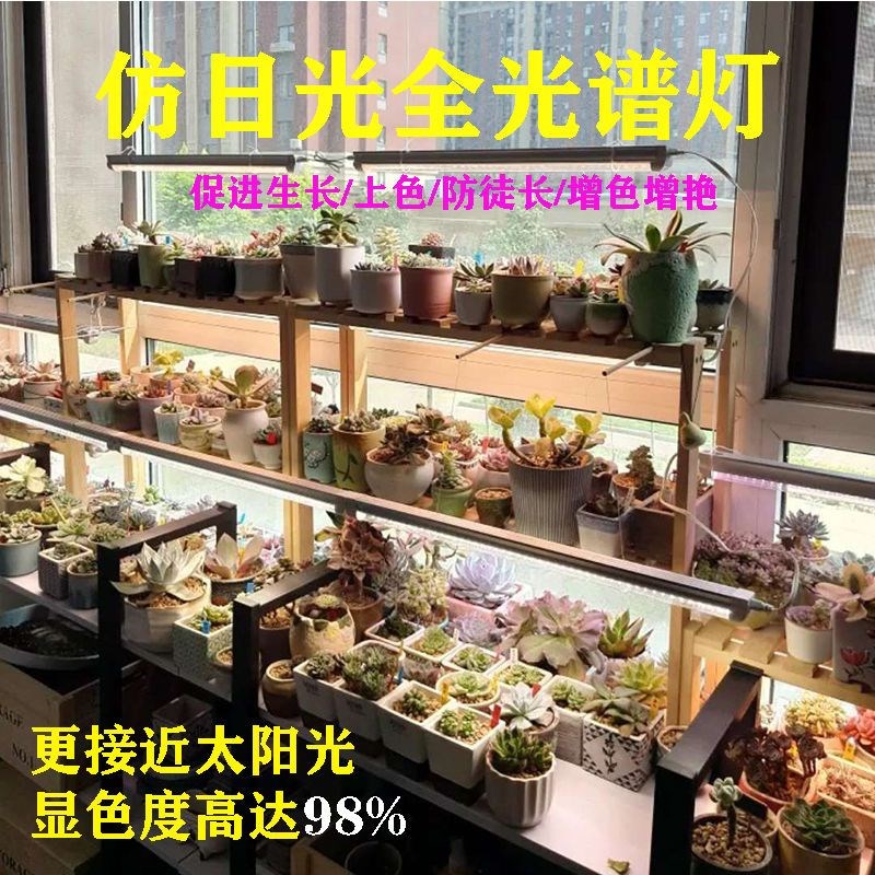 多肉补光灯led植物生长灯蔬菜花卉绿植防徒上色全光谱一体化灯管