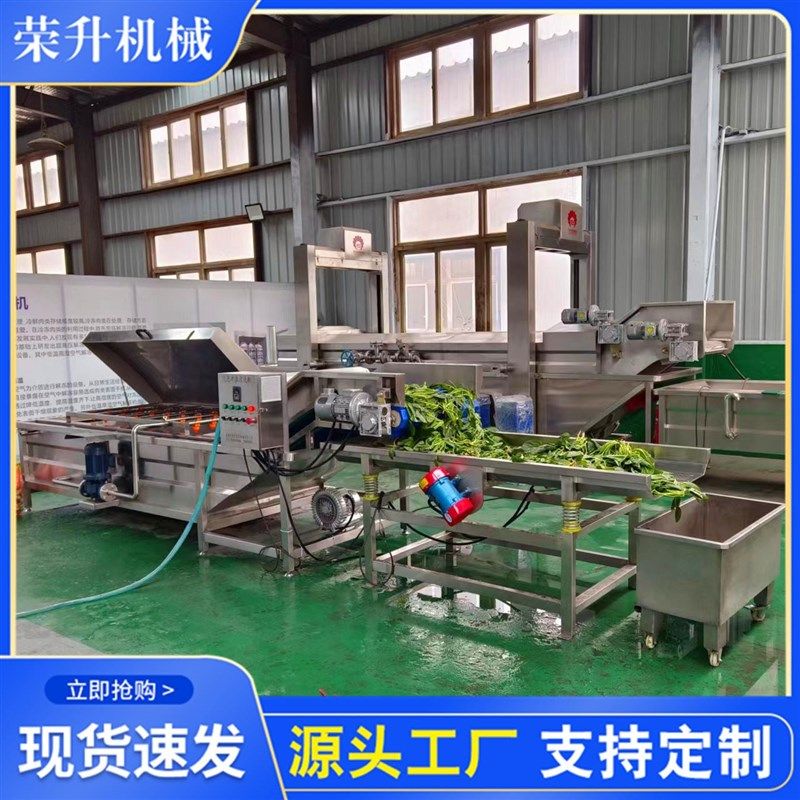 供应青蒿清洗漂烫杀青设备 气泡清洗机 蔬菜清洗杀青流水线