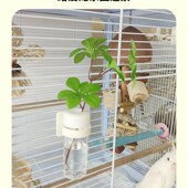 优嗖鹦鹉谷穗夹卡扣玩具磨牙棒固定花瓶多功能蔬菜水果夹鸟笼配件