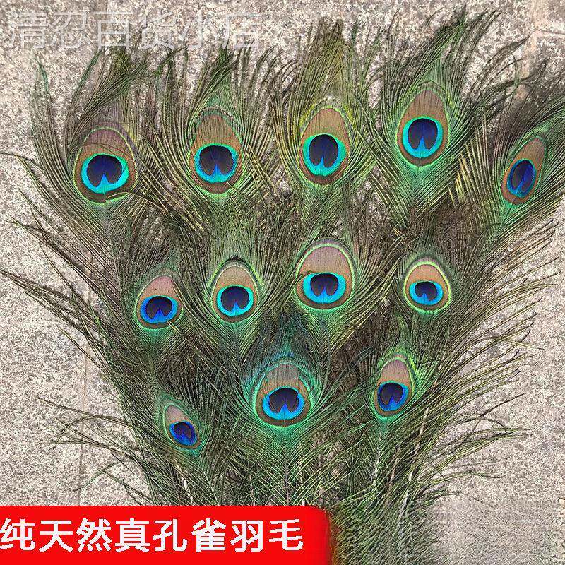 真孔雀羽毛翎尾大眼睛客厅摆件花瓶插花装饰品配件孔雀毛