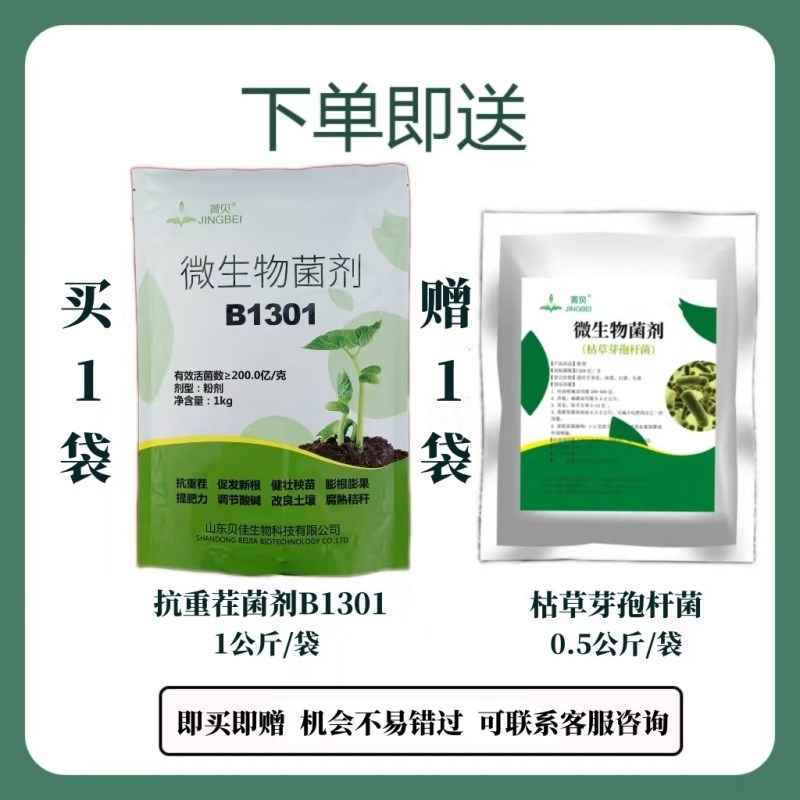 抗重茬微生物菌剂根茎膨大冲施滴灌水溶肥育苗生根剂调节剂B01