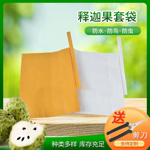 大号释迦果专用套袋水果防虫防鸟保护袋莲雾育果侧开可视透明纸袋