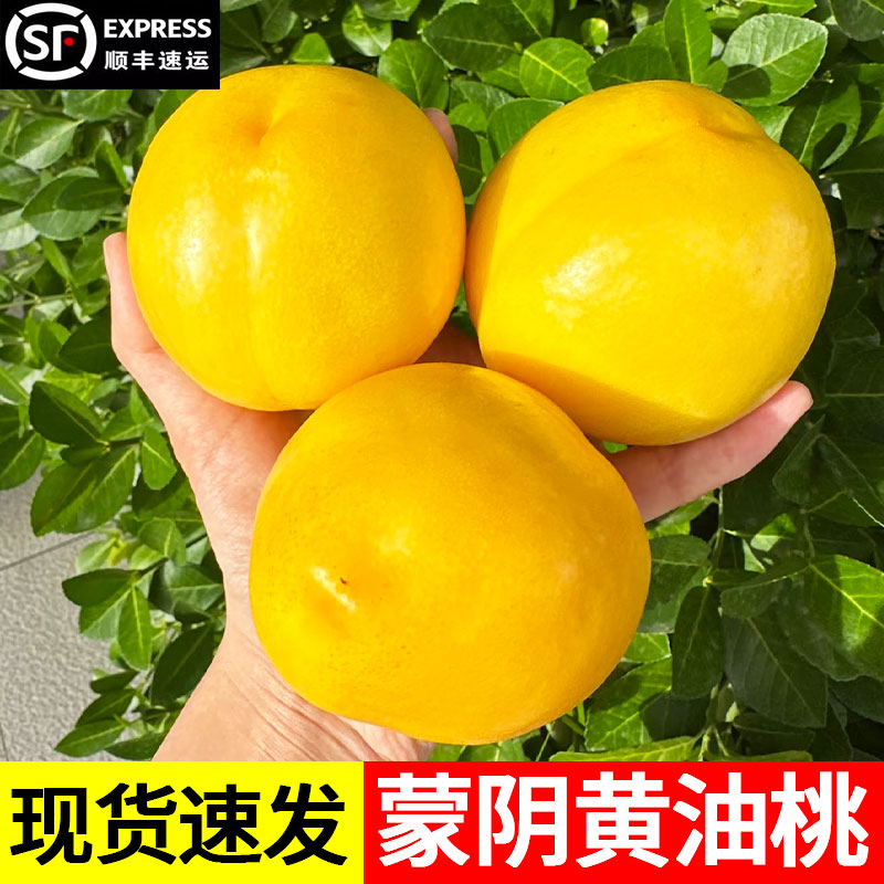 黄金油桃新鲜水果头茬黄桃新鲜桃软糯脆甜孕妇水果整箱大桃山东
