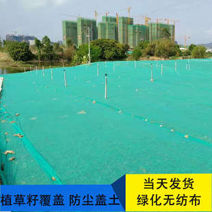 绿化绿色无纺布整卷园林草坪工地防尘盖土布护坡边坡植草籽覆盖布