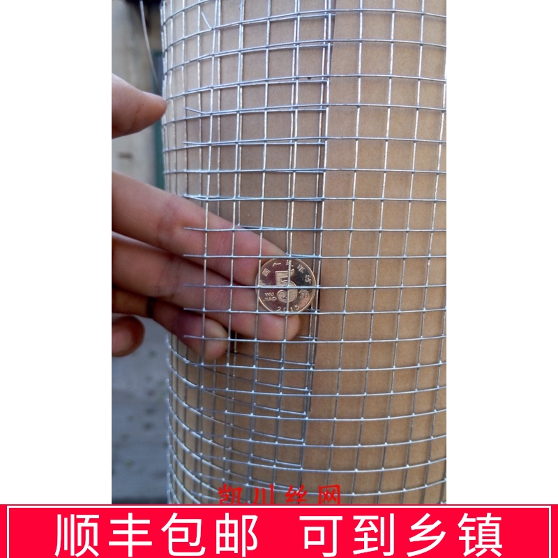 镀锌铁丝网格防鼠窗户多肉防护鸽鸟网鸡网养殖网热镀锌铁丝网围栏