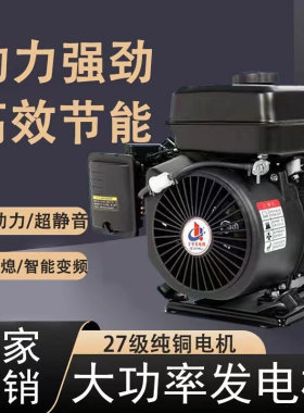 48v60v72伏电动两轮二三轮车四轮车新能源轿车变频增程器发电机