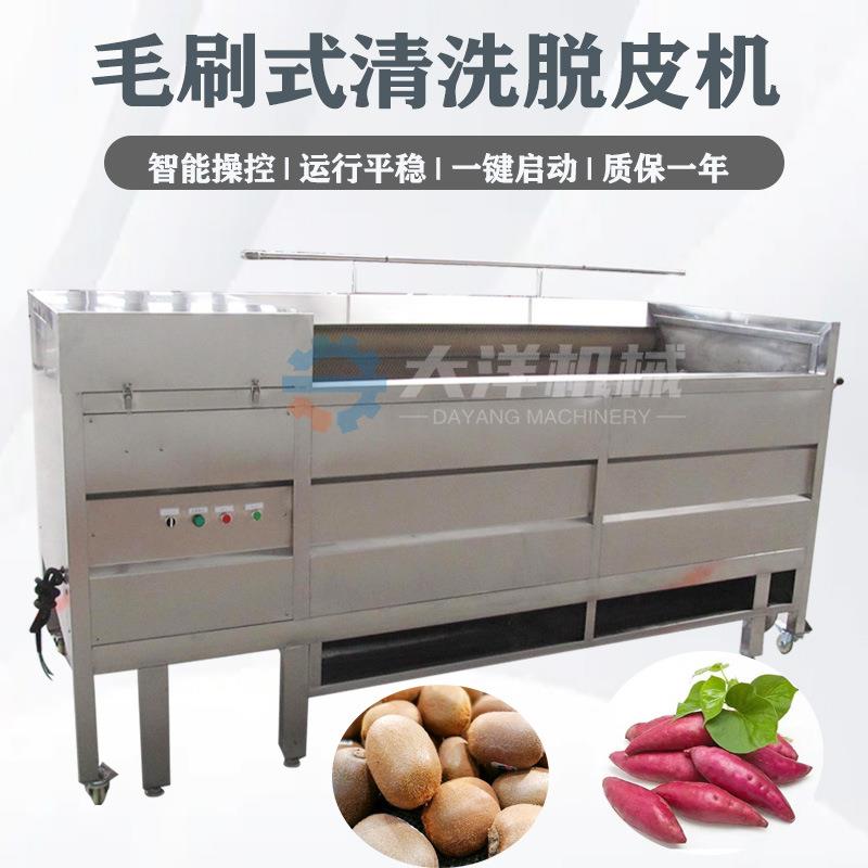 机械毛刷清洗机耐用毛丝不掉毛不断毛无损伤红薯洗泥去皮机器