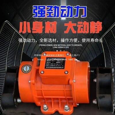 震混凝土动振平尺220V电振动器加厚动尺杆水泥路地82107面整抹平