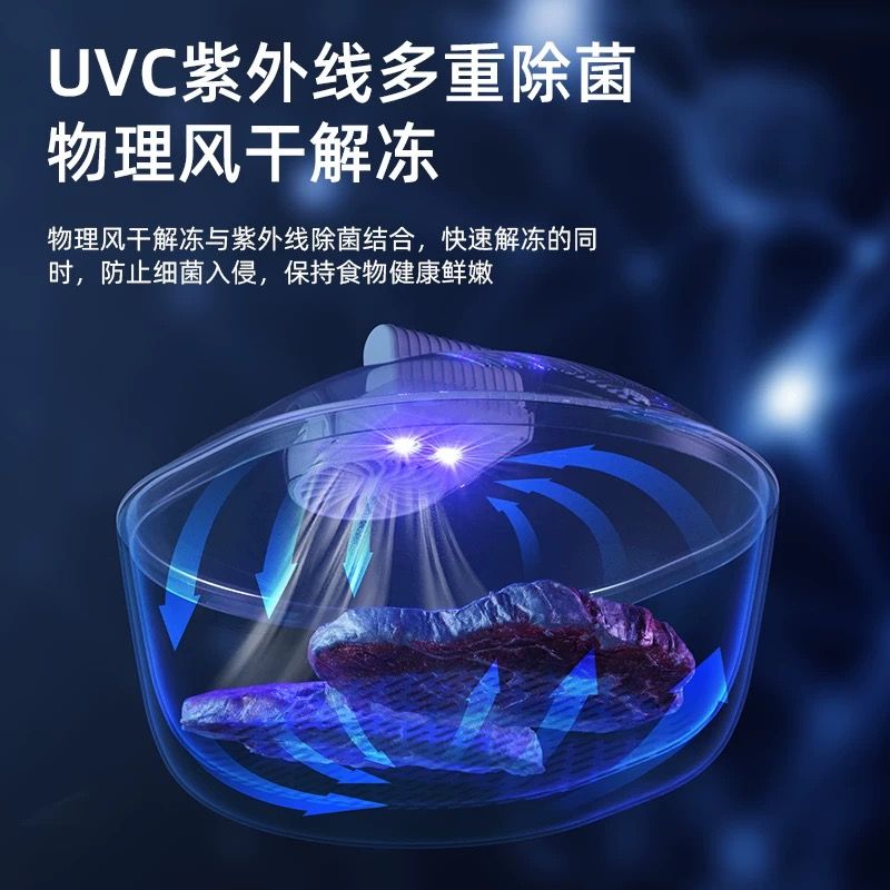 家用解冻神器2023新款家用肉类牛排保鲜食物锁鲜机全自动四合一解