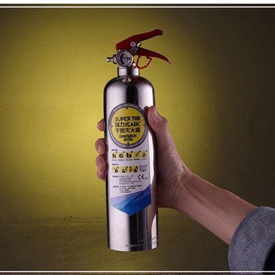 汽车灭火器不锈钢手提式家用车载灭火器干粉夜光带支架便携式新款