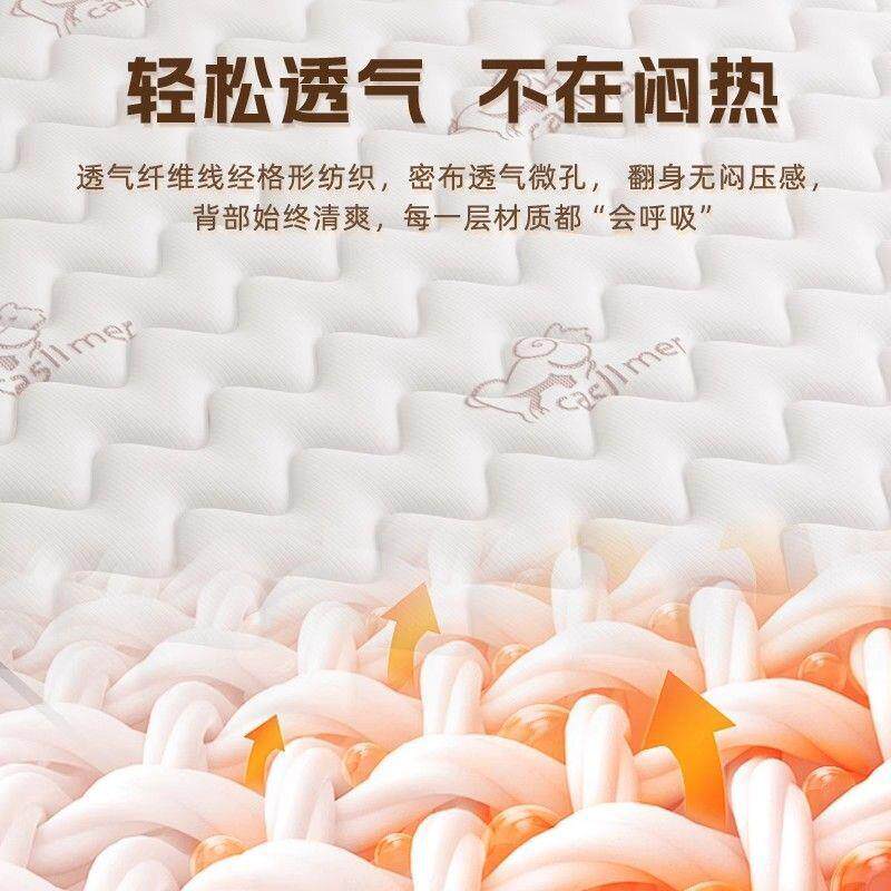 簧床垫子弹梦ETD家庭用卧室乳胶租房专用硬椰棕20cm厚软四季通用