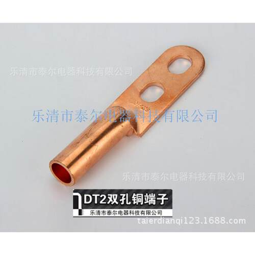 铜接线3端子350双孔铜鼻子DT2-60平方铜鼻子双接线端子DT-630孔S