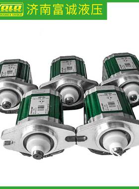 意大利VIVOLO高压齿轮泵X1P2162BBBA2孔平键齿轮泵维沃尔原厂直供