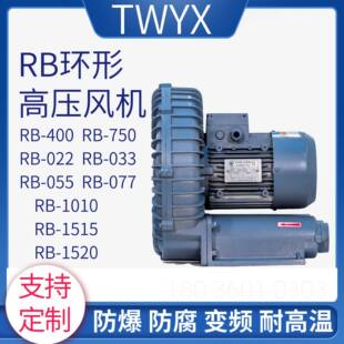 38RHD0V环形高压风机B 022R0330550771010技全风环保科股份