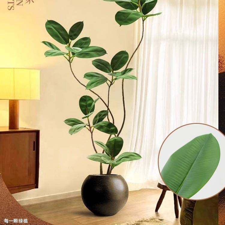 大型客厅落地摆件室内沙发电视柜旁边假植物黑金刚橡皮树仿真绿植