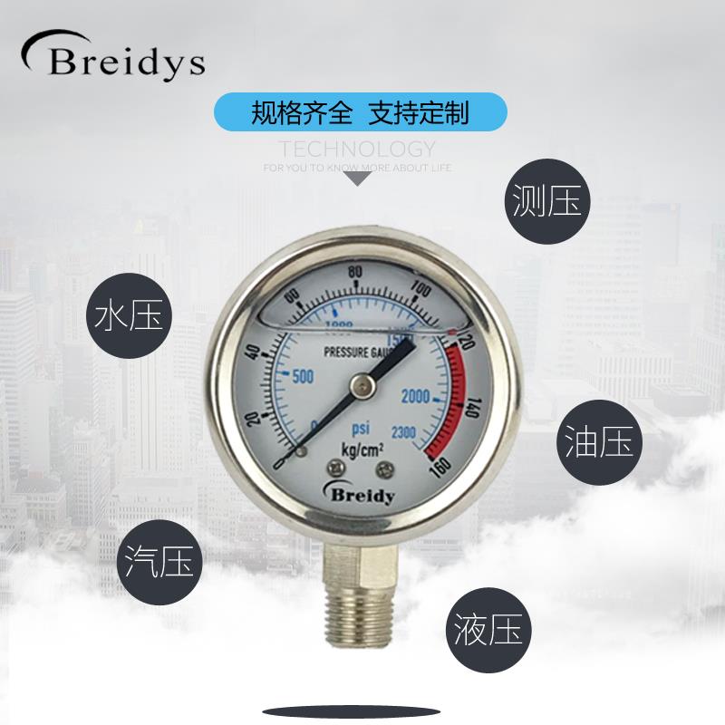压压力表YN501不锈钢耐震力表0-6/100BREIDYSm.pa多量程水压气压