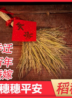 大麦摆件麦穗干花客厅装饰金麦穗麦子搬家花束小麦高粱穗五谷丰登