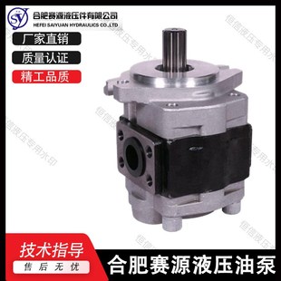 F28.2 F30 F32 合肥赛源齿轮泵CBHZB F40 F25 F36 ATPR F23