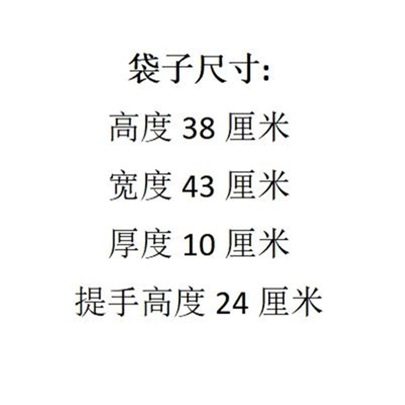 横版一步实际行动比一打纲领更重要编译文创帆布包上课通勤