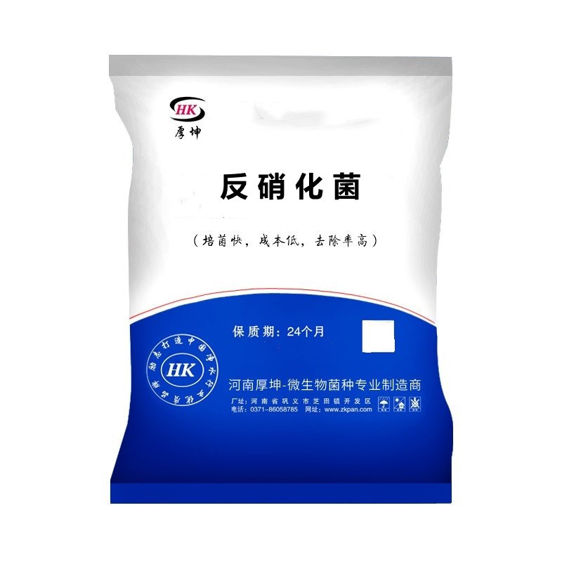 污水处理菌种反硝化菌总氮去缺氧池用降总氮1kg