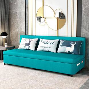 家用无扶手小户型双人沙发床带储物空间布艺沙发折叠沙发床