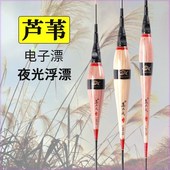 高端芦苇夜光漂咬钩变色高灵敏水无影冷光尾浮漂罗非电子鱼漂