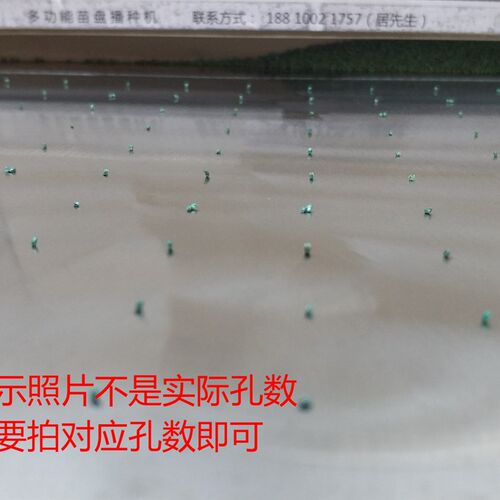 芹菜籽育苗盘播种器穴盘点子机105/128/200/288孔数等