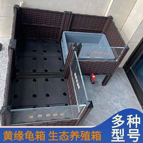 黄缘龟饲养箱安缘台缘闭壳龟苗造景植物生态环境乌龟专用缸养殖箱