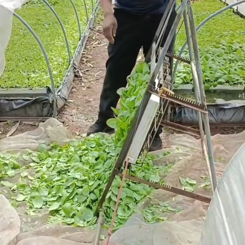 剪苗器方便实用可以壮根提高移栽成活率配1根钢丝绳剪苗高度可调